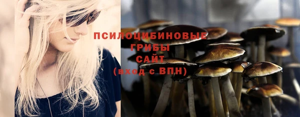 гидра Балахна