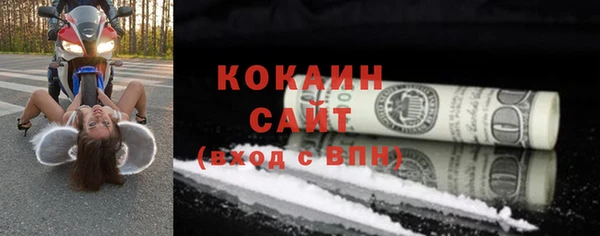 индика Баксан