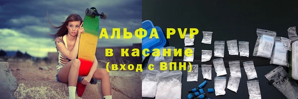 индика Баксан