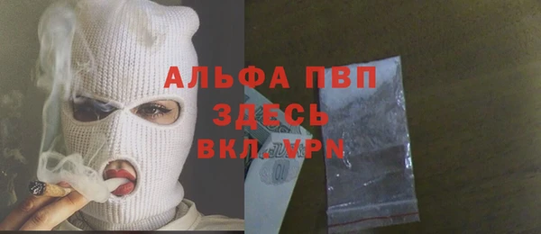 индика Баксан