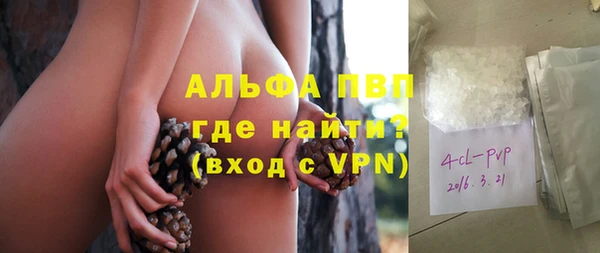 индика Баксан