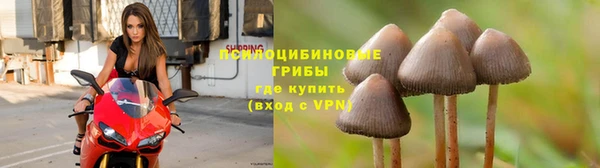 гидра Балахна
