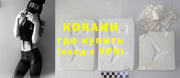 индика Баксан