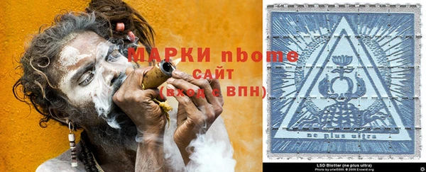 индика Баксан