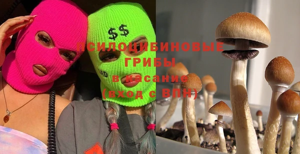ПСИЛОЦИБИНОВЫЕ ГРИБЫ Балабаново