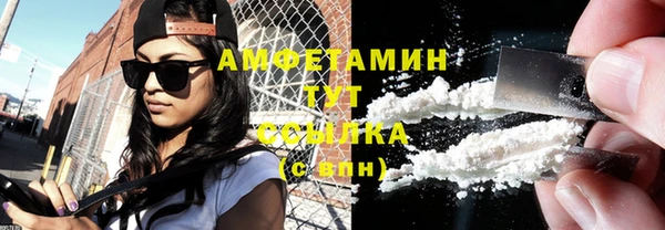 индика Баксан