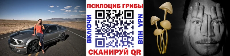 Галлюциногенные грибы GOLDEN TEACHER  Губкинский 